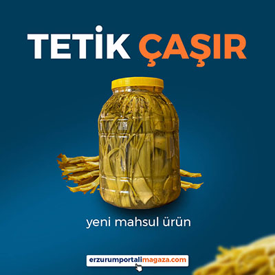 Tetik Çaşır